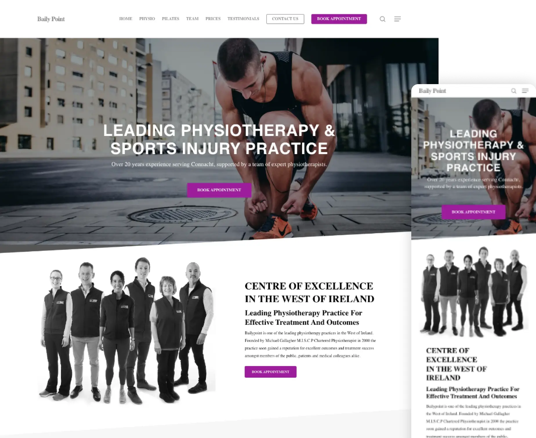 Dublin web agency site with physiotherapy focus, showing team and appointment booking options displayed on screen.
